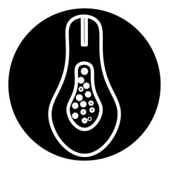 papaya illustration