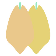 papaya illustration