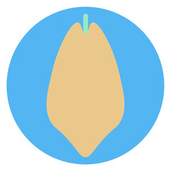 papaya illustration