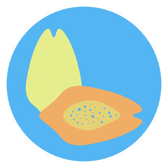 papaya illustration