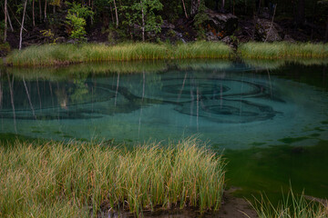lake in the forest