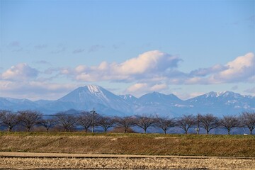 曇り空の冬の風景　桜並木のある堤防と連山　栃木
