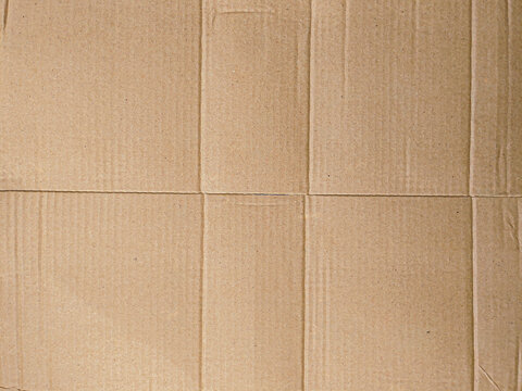 Highly Detailed Cardboard Texture or Background Stock Photo for Creative Professionals.