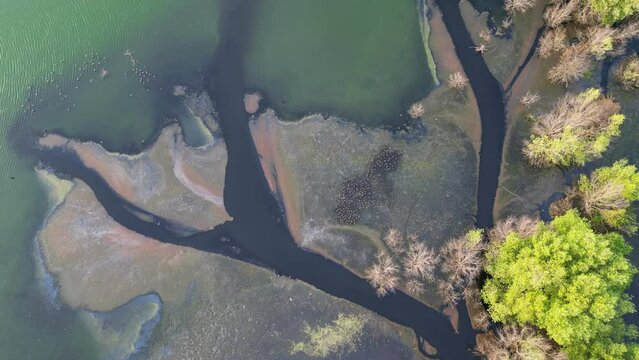 Drone shop top down view water pollution at wetland