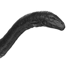 Naklejka premium Apatosaurus animal isolated on transparent background