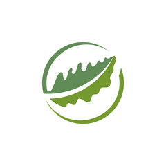 Abstract sphere green leaf logo vector template