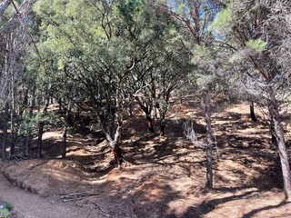 Fototapeta premium Ojen Protected Wild fare area , Malaga - Spain 