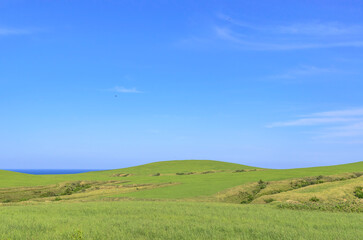 北海道　宗谷丘陵
