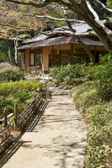 Fototapeta premium 東京庭園美術館, 日本庭園