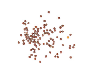 mustard seeds isolated on transparent png - obrazy, fototapety, plakaty