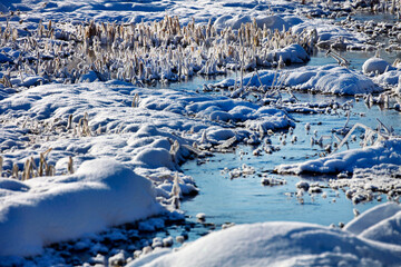 小川の葦群に咲いた雪の華(更別村）
