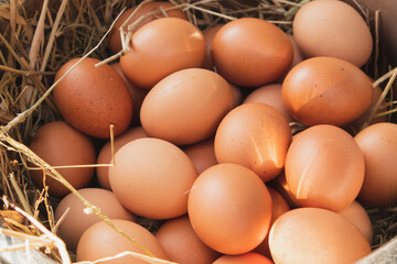 eggs in a basket
