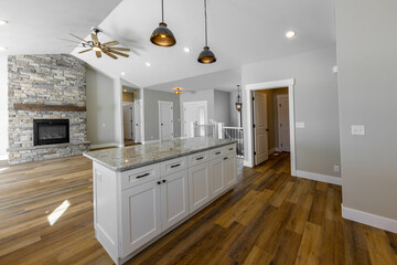 modern living space and kitchen interior