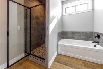modern master bathroom interior