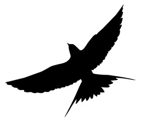 Flying of the Swallows, Martins, and Saw wings, or Hirundinidae Bird Silhouette for Logo, Pictogram, Website, Art Illustration or Graphic Design Element. Vector Illustration