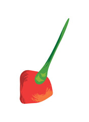 chili seasoning icon