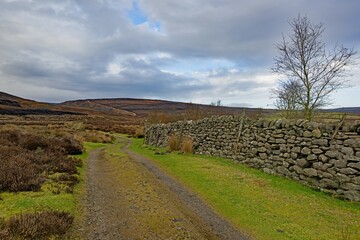 Obraz premium The approach to Simon's Seat, Wharfedale, North Yorkshire, England.