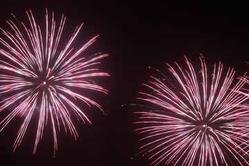 秋の夜空を彩る職人が作る花火