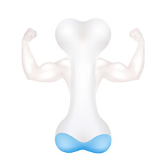 Healthy bone full of calcium arms showing white strong muscles powerful. Exercises and eat healthy food. Health concept. Realistic 3D File PNG.