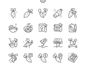 Daikon. Nature vegetable organic food nutrition. Daikon seeds. Buy, price and product reviews. Pixel Perfect Vector Thin Line Icons. Simple Minimal Pictogram