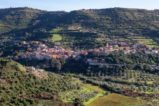 Farms and Small Town in Mountains. Modolo, Sardinia, Italy. Sunny Day.
