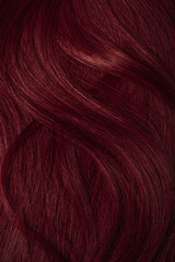 Naklejka premium Dark red hair close-up as a background. Women's long brown hair. Beautifully styled wavy shiny curls. Coloring hair with bright shades. Hairdressing procedures, extension.