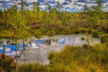 Ventspils. Vasenieki bog.