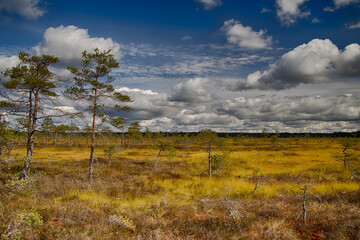 Obraz premium Ventspils. Vasenieki bog.