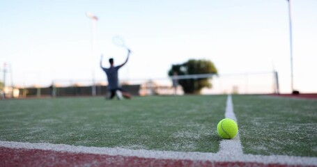 Professional tennis player enjoys victory on tennis court
