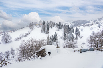 Winter Landscape with Small Village Houses Between Snow Covered Forest in Cold Mountains. Giresun - Turkey