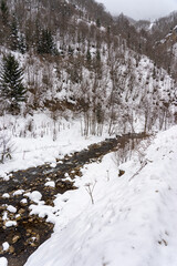 Landscape on the cold winter morning. Location place Giresun Highlands, Black Sea - Turkey