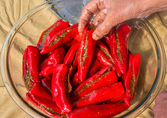 Preparing homemade stuffed red chilli pickle or laal mirchi ka Achar or Loncha. Hand holding...