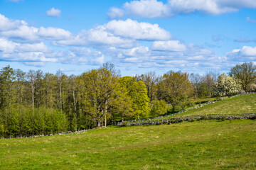 Fototapeta na wymiar Rural landscape view with budding trees at spring