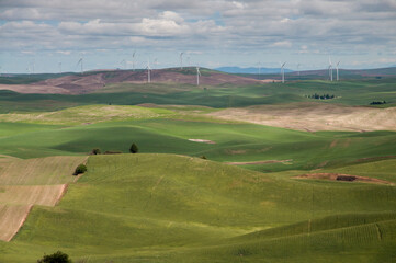Countryside view of East Washington