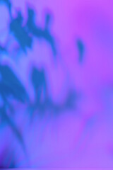 Obraz na płótnie Canvas Abstract flowers and grass shadows on holographic purple pink wall texture. Abstract trendy colored nature light concept background. Copy space for text overlay, poster mockup, flat lay, top view