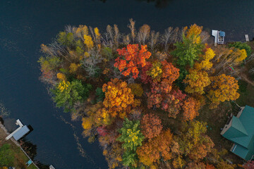 Fall colored trees and docks on lake.