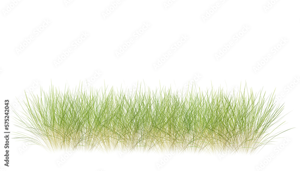 Poster bunches of grass on a transparent background. 3d rendering.