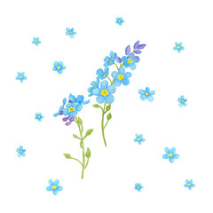 Set of watercolor forget -me -nots on a branch and separate flowers