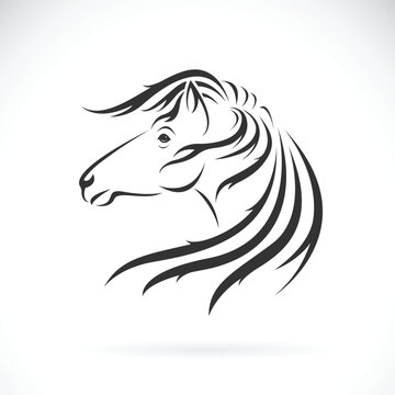 Vector of horse head design on white background. Easy editable layered vector illustration. Wild animals.