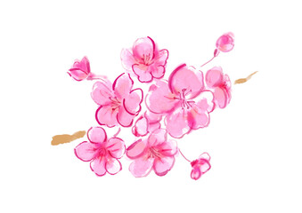 桜の花の手描き和風ベクターイラスト