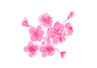 Obraz na płótnie Canvas 桜の花の手描き和風ベクターイラスト