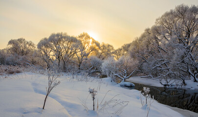 Winter frosty scene with sun rising over the snow covered forest and river