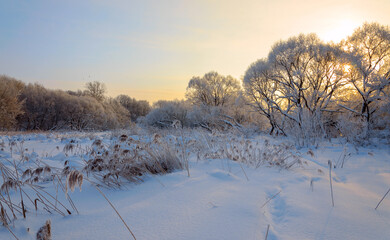 Winter frosty scene with sun rising over the snow covered forest and field