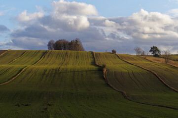 Krajobraz wczesnej wiosny, po stopnieniu śniegu. © Adam Sadlak