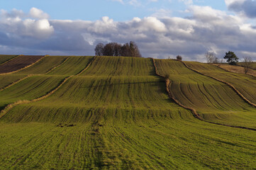 Krajobraz wczesnej wiosny, po stopnieniu śniegu. © Adam Sadlak