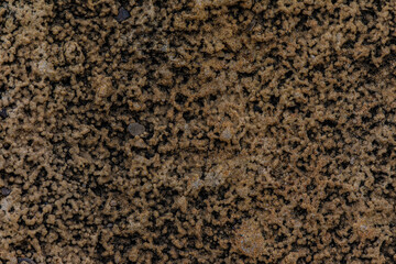 texture of the stone