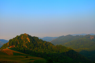 morning on the mountain sunrise there is a flower foreground