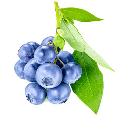 Bunch of blueberries on a branch with leaves, isolated on transparent background. PNG file