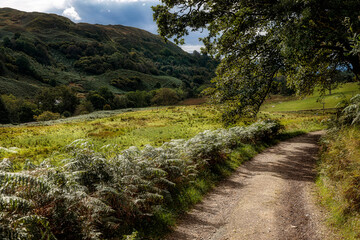 The road to Carnasserie Castle, Lochgilphead, Scotland