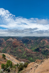 Fototapeta na wymiar View of the Waimea Canyon State Park in Kauai, Hawaii
